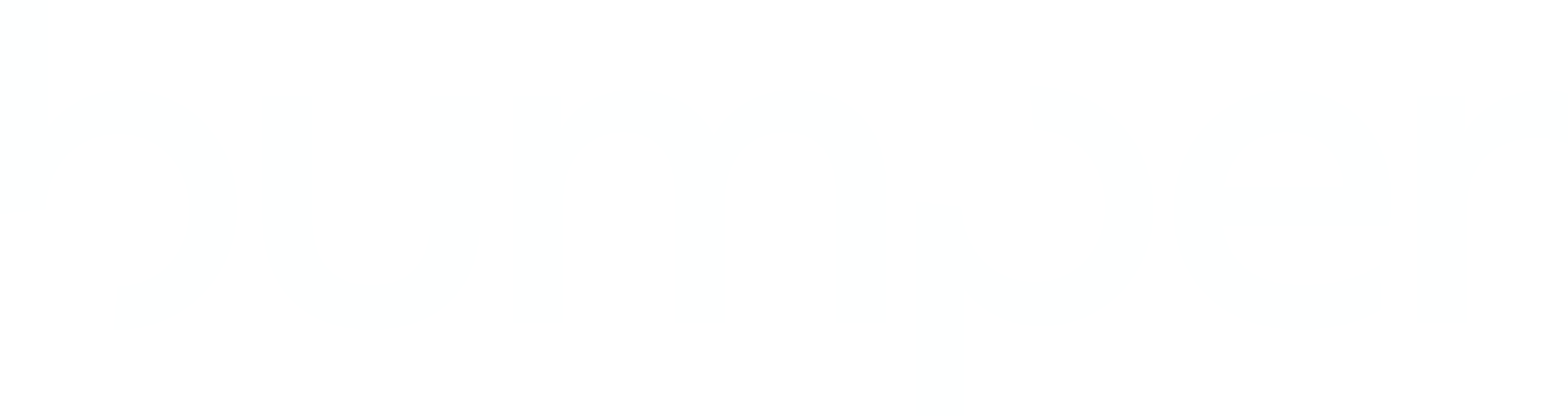 Bumper